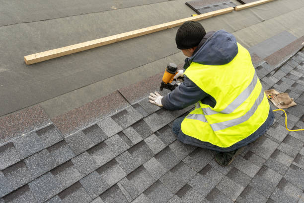 Best Roof Maintenance Services  in Mitchell, IL