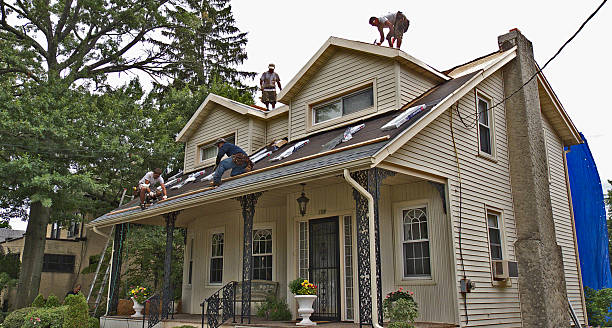 Best Roof Gutter Cleaning  in Mitchell, IL